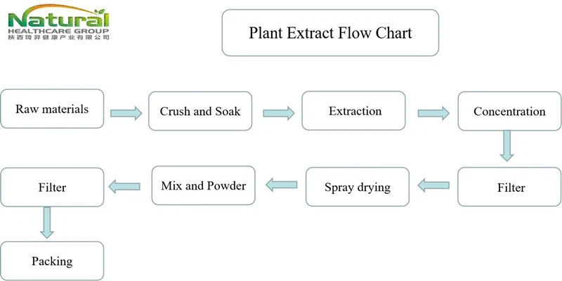 flow chart