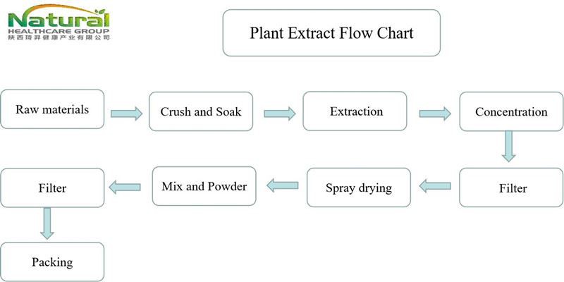 flow chart
