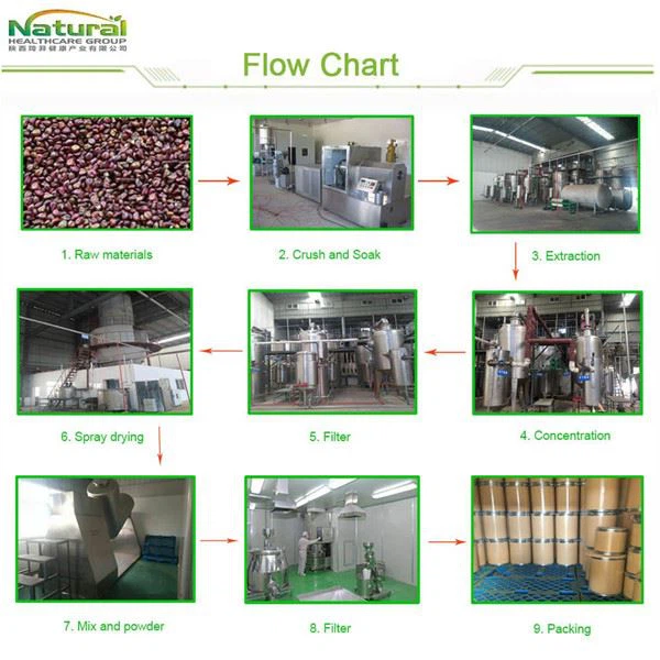 flow chart-2
