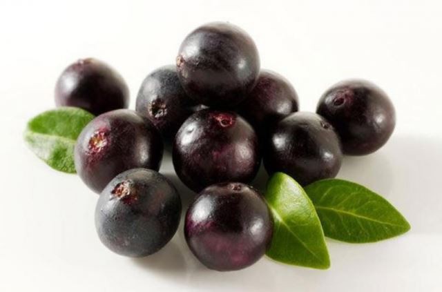 Acai Berry Extract Powder