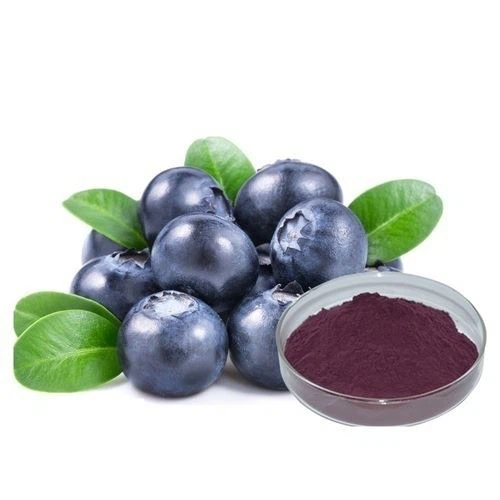 Bilberry Extract Powder Bilberry Extract Powder