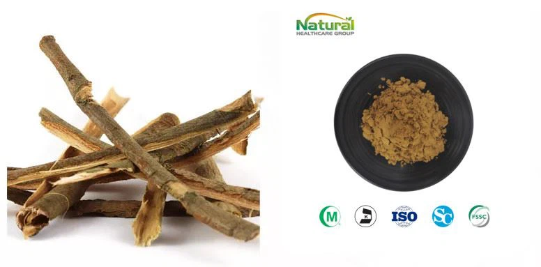 Salix Alba Extract Powder Salicin 15%