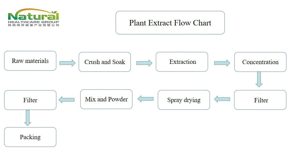 flow chart flow chart