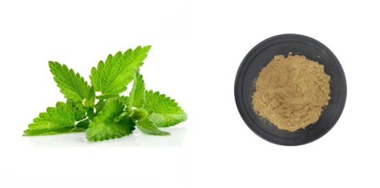 Lemon Leaf Extract