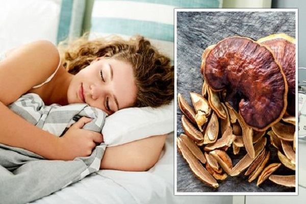 Reishi mushrooms for sleep Reishi mushrooms