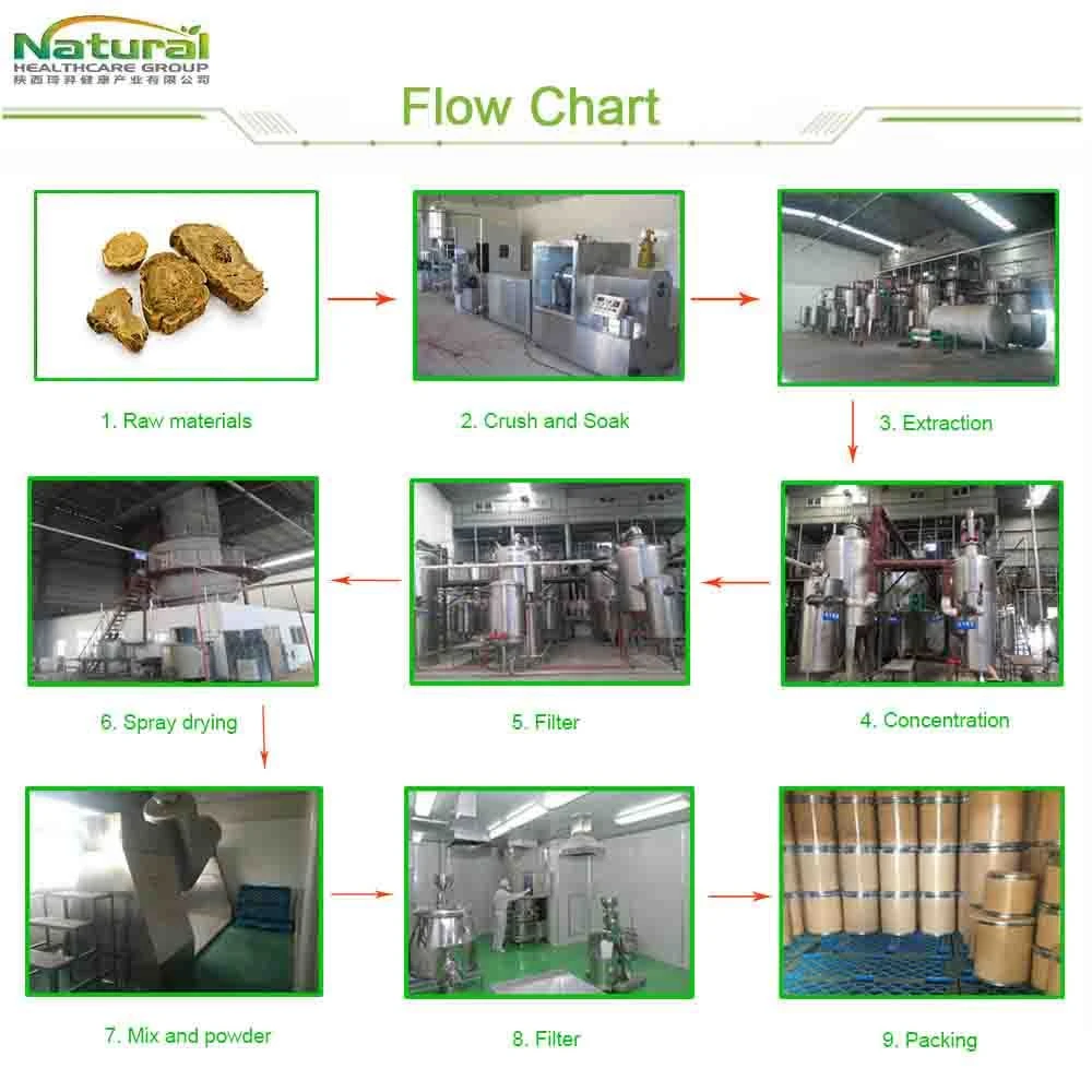 Flow chart2