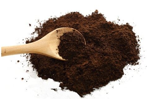 Ganoderma Lucidum Spore Powder