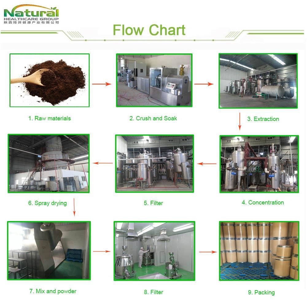 Flow Chart of Ganoderma Mushroom Extract Flow Chart of Ganoderma Mushroom Extract