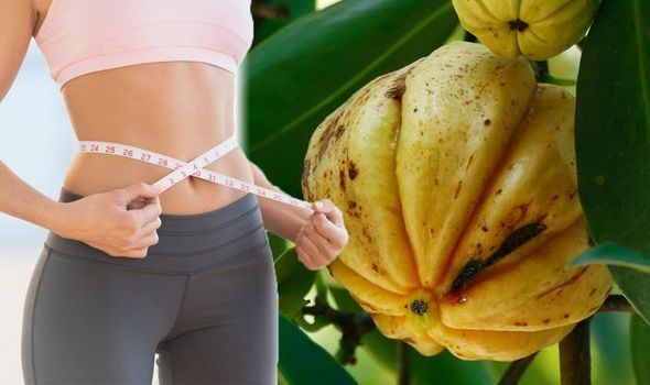 Garcinia Cambogia Extract Benefits Garcinia Cambogia Extract Benefits