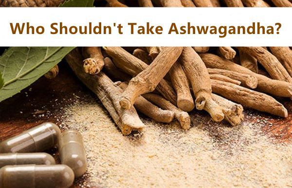 Who Shouldn't Take Ashwagandha Who Shouldn't Take Ashwagandha