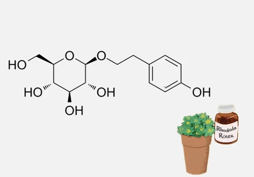 Rhodiola Extract Powder Salidroside Rhodiola Extract Powder Salidroside