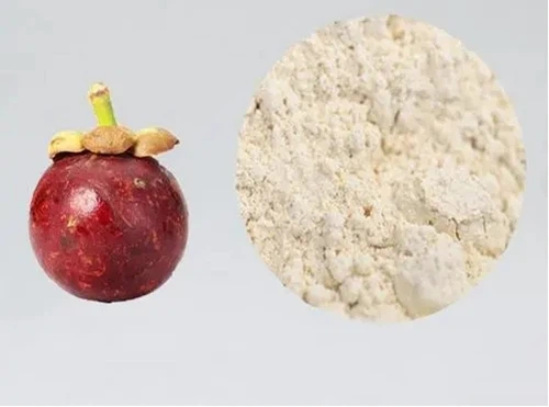 Mangosteen Fruit Powder