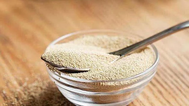 Yeast Extract Powder Yeast Extract Powder