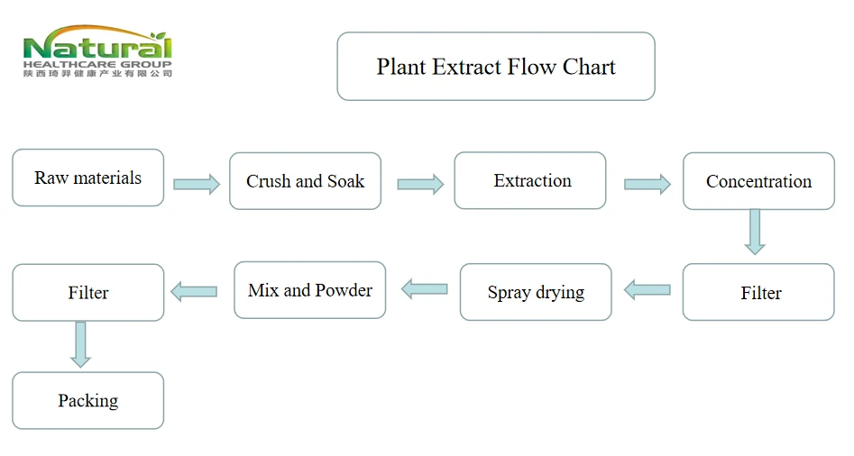 flow chart flow chart