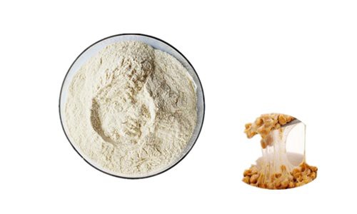 Nattokinase powder