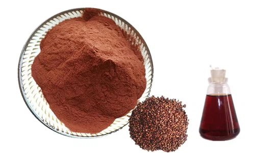 Grape Seed Extract Powder Grape Seed Extract Powder