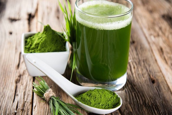 Wheat Grass Juice Powder