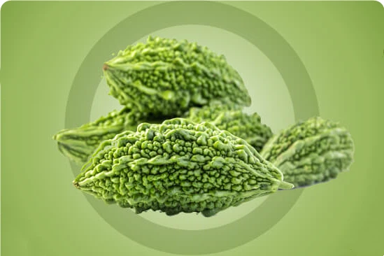 Bitter Melon Benefits Bitter Melon Benefits
