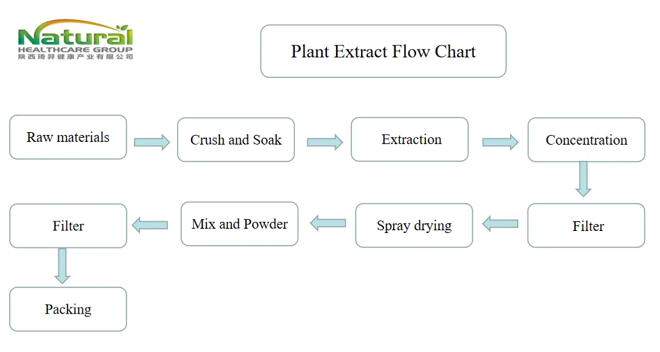 flow chart flow chart