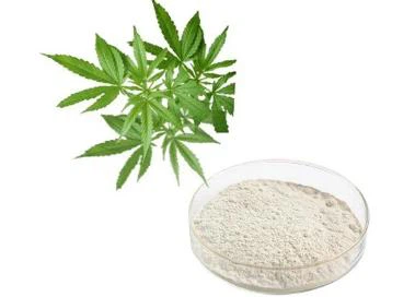 hemp protein hemp protein