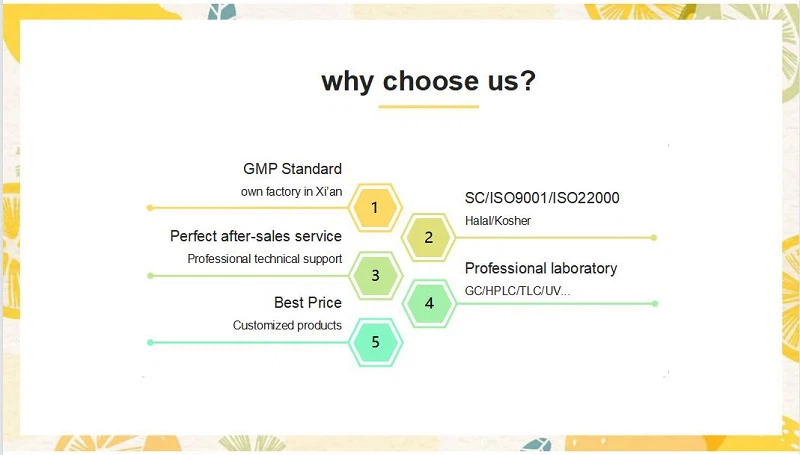 why choose us why choose us