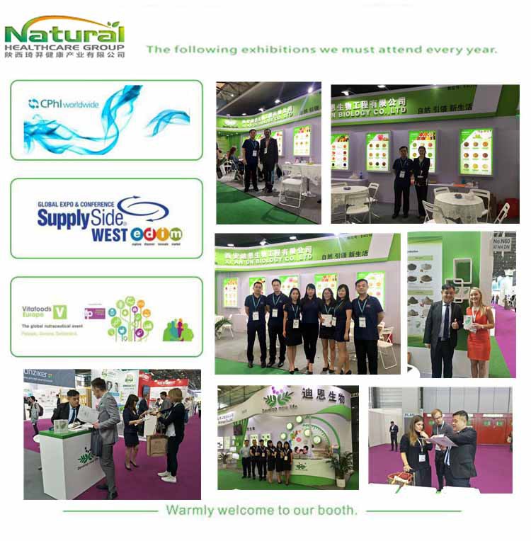 Exhibition Exhibition