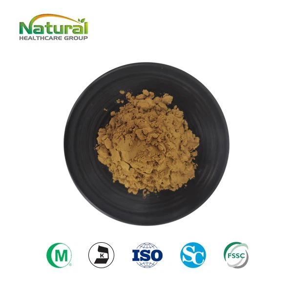 Celery Seed Extract Powder