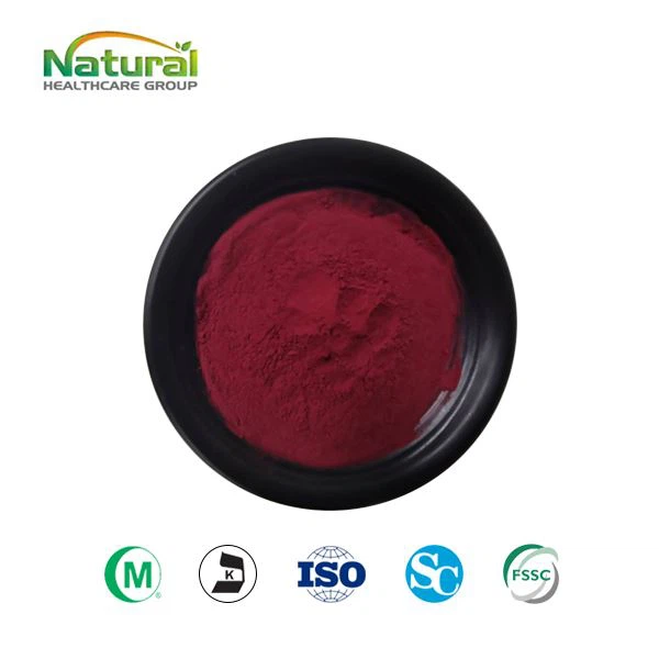 European Bilberry Extract