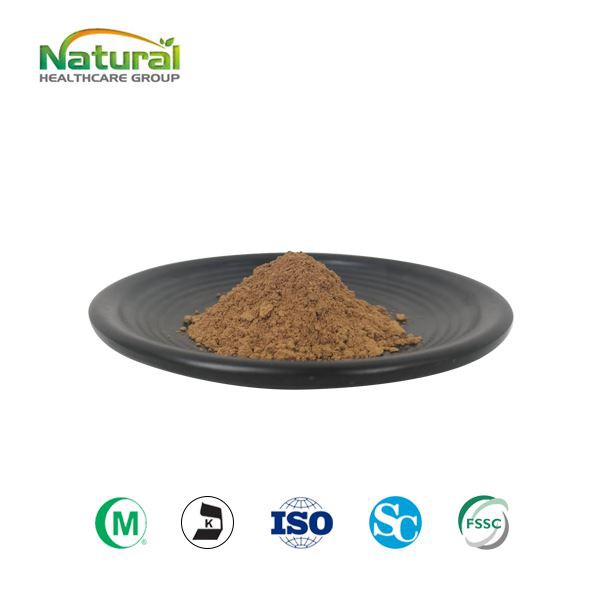 Garcinia Cambogia Extract 10:1 Powder