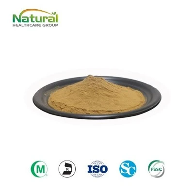 Monk Fruit Extract Powder