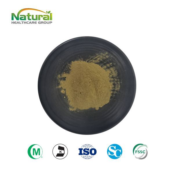 Red Raspberry Leaf Extract Powder