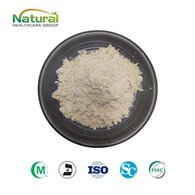 Soybean Extract Powder