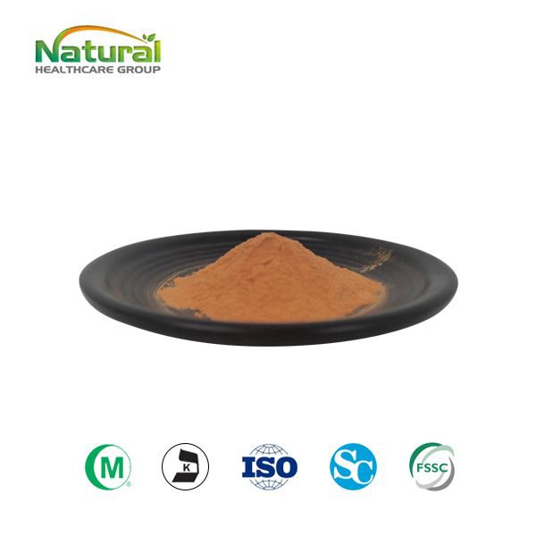 Wolfberry Extract Powder