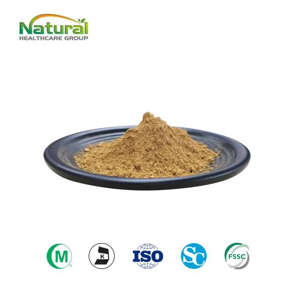 Yucca Extract Powder