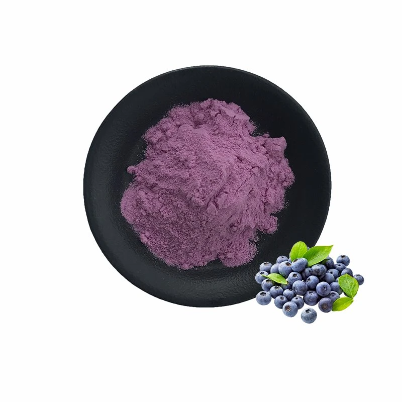 Best Blueberry Powder