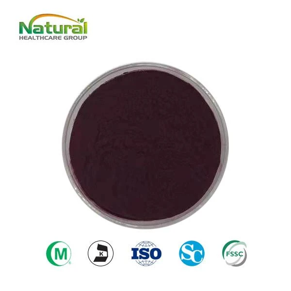 Cranberry Extract Powder