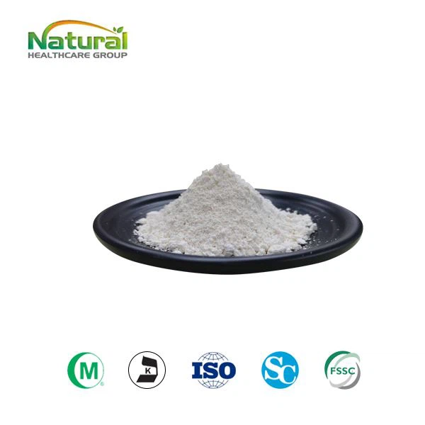 Giant Knotweed Extract Powder
