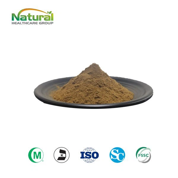 Oat Extract Powder