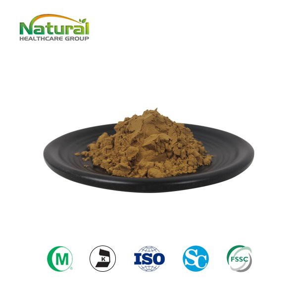 Bitter Orange Extract Powder