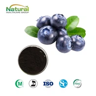 Blueberry Extract Powder