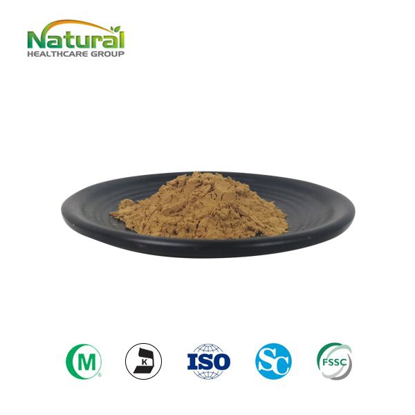 Ginkgo Biloba Leaf Powder