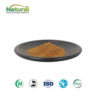 Salvia Miltiorrhiza Root Extract