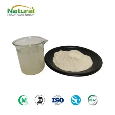 Yeast Extract Powder
