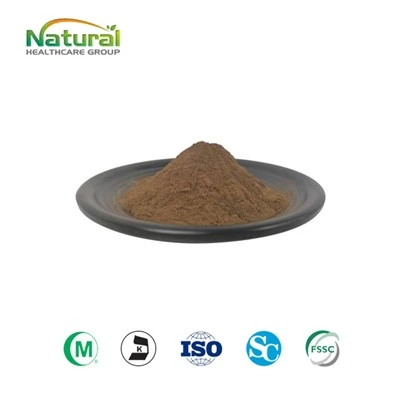 Lungwort Extract