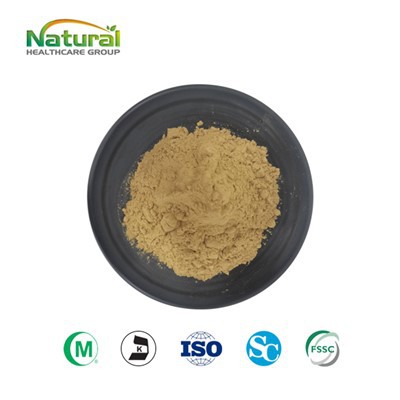 Yucca Root Extract