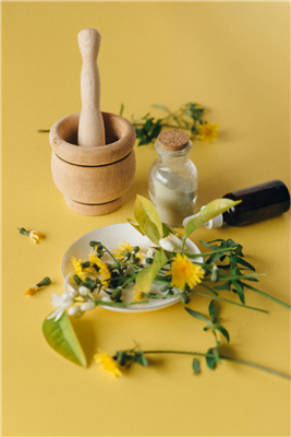 How to Use Celandine Extract?