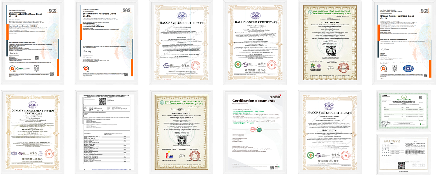 certification certification